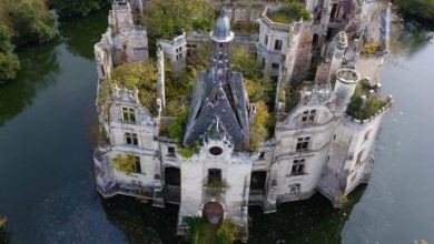 The Remarkable Revival of Château de La Mothe-Chandeniers