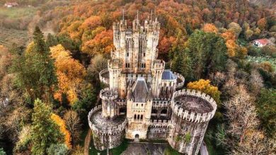 “Castillo de Butrón” | History and Architecture