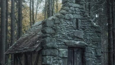 Mysterious Stone Cottage in the Belgian Forests