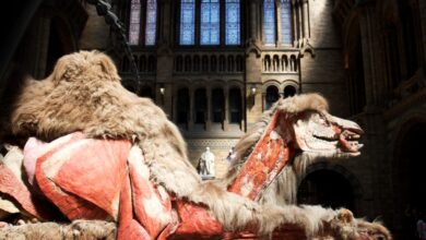 The Natural History Museum, London