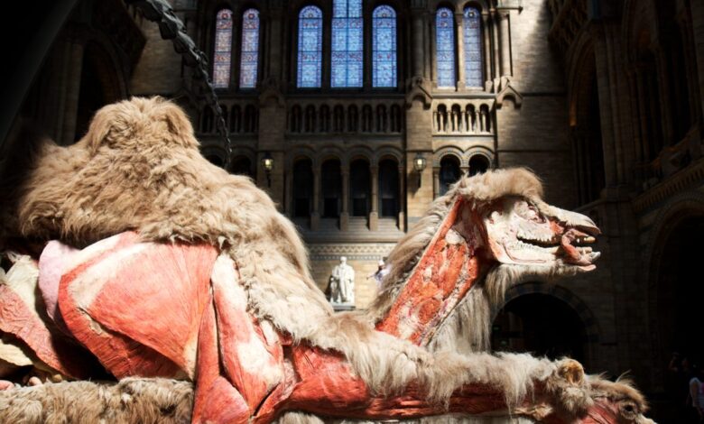 The Natural History Museum, London