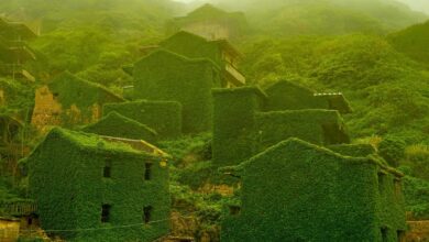 Houtouwan Village China’s Captivating Abandoned Ghost Town