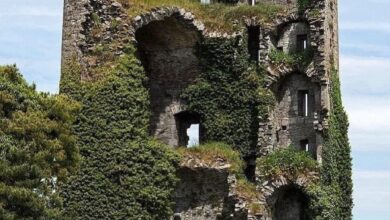 Ballymarkahan Castle, A Lost Irish Stronghold