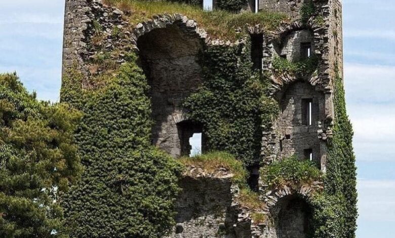 Ballymarkahan Castle, A Lost Irish Stronghold