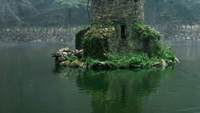 The Hidden Swamp Tower of Pena Palace, Sintra