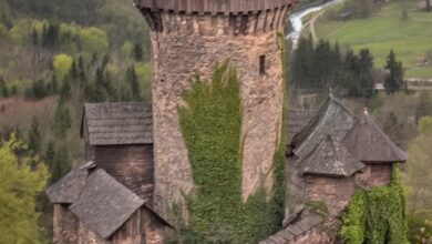 Niederfalkenstein Dark History – Medieval Castle No One Talks About