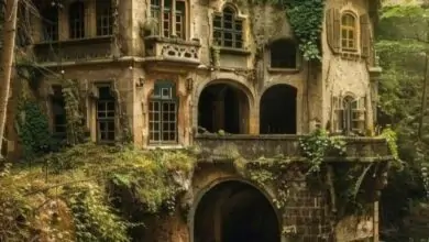 Enchanting Abandoned Fairy House in the Woods