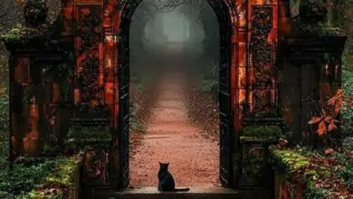 The Watcher of the Forgotten Gate