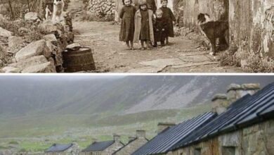 Old Houses in St Kilda, Scotland