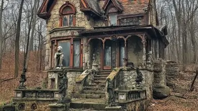 Hidden Treasures Inside the Abandoned Tudor House in the Midwest