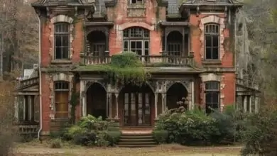 The Haunting Memories of the Abandoned Estate in Central Georgia