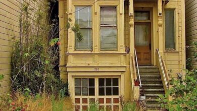 How a Real-Life Abandoned House Mirrors the Up Movie’s Story