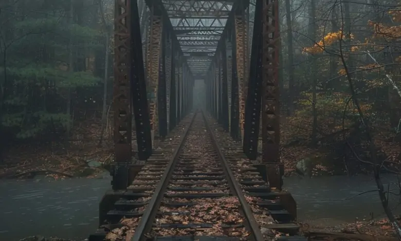 Silent Railroad Bridge Hidden Deep in African Woods