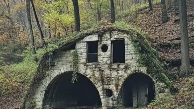 Mysterious Fortress Hidden in the Forest