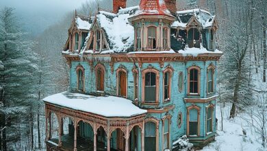 Fairlawn: The Haunted House in the Snow