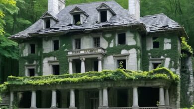 The Ruins of Hawthorn Victorian, Forever Forsaken The Ruins of Hawthorn Victorian, Forever Forsaken