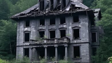 The Lost Chamber of Hollowfield Victorian