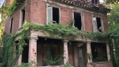 The Forgotten Rooms of Briarwood Victorian