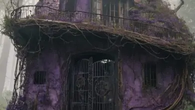 Abandoned Purple House in a Hidden Forest